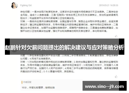 赵鹏针对欠薪问题提出的解决建议与应对策略分析