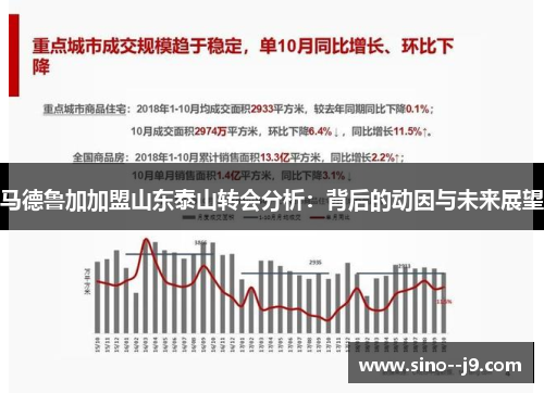 马德鲁加加盟山东泰山转会分析：背后的动因与未来展望