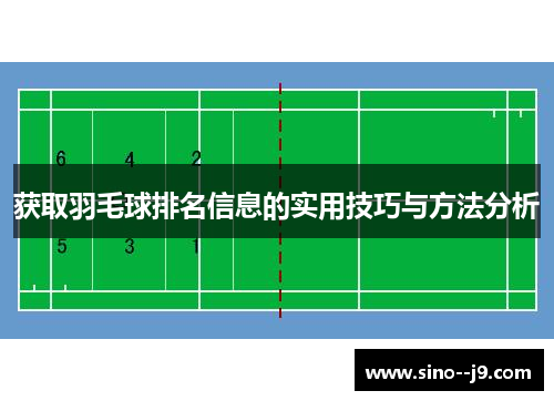 获取羽毛球排名信息的实用技巧与方法分析