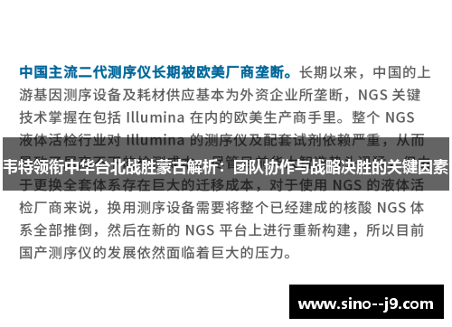 韦特领衔中华台北战胜蒙古解析：团队协作与战略决胜的关键因素