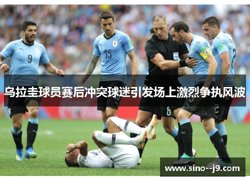 乌拉圭球员赛后冲突球迷引发场上激烈争执风波