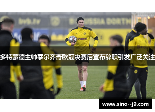 多特蒙德主帅泰尔齐奇欧冠决赛后宣布辞职引发广泛关注 多特蒙德主帅泰尔齐奇欧冠决赛后宣布辞职引发广泛关注
