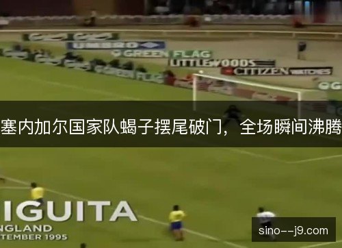 塞内加尔国家队蝎子摆尾破门,全场瞬间沸腾 塞内加尔国家队蝎子摆尾破门,全场瞬间沸腾